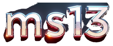 ms 13 logo